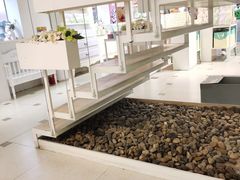 -苏小糖(鼓浪屿三丘田花园店)