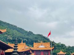 -深圳仙湖植物园