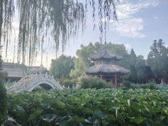 -莲池书院博物馆