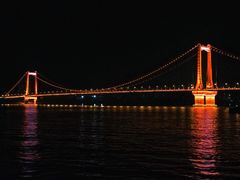 -武汉两江游览·夜游长江(汉口粤汉码头)