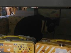 -猫的天空之城概念书店(杭州南宋御街店)