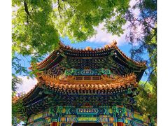 -雍和宫
