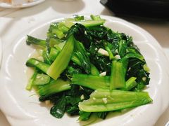 -煲来饱去冷水鱼