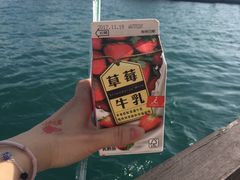-日月潭