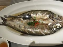 清蒸白条鱼-香浙汇(望京店)