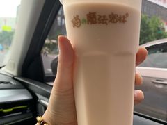 -猫的魔法密林(衣裳街店)