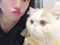 -啵啵喵·猫咖(攀华国际店)