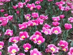 -南通洲际绿博园