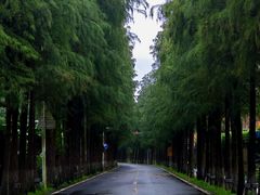 -鹿福农庄(南沙天后宫店)