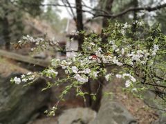 -香山公园