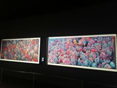 -罗红摄影艺术馆