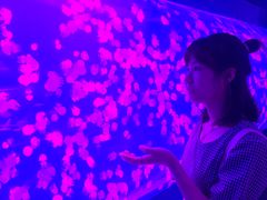 -左海海底世界