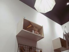 -简·煦蛋糕定制(下沙店)