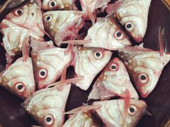 -章记正宗南岗鱼蛋火锅