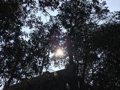 -缙云山景区