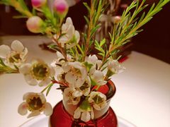 -阿妮叶李(光谷世界城店)