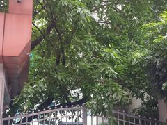 -深圳市第一幼儿园