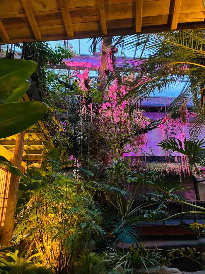 "-大众点评移动版