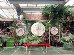 -呀路古热带植物园