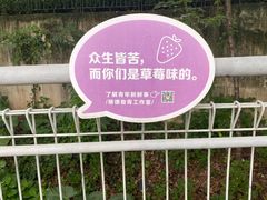 -佛山华盖山公园