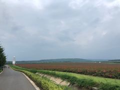 -南京枫彩漫城