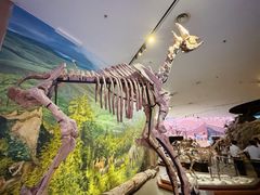 -陕西自然博物馆