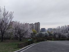 -欧亚之窗公园