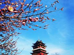 -安徽八里河旅游区