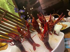 -尚海豆捞(乐虹坊店)