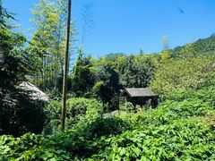 -木子山庄·安徽省老字号·中国炖锅宴