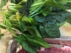 菠菜-月圆火锅(宁海东路二店)