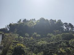 -灵光寺