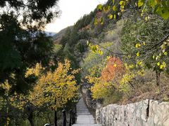 -北京十三陵国家森林公园蟒山景区