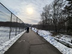 -钏路市丹顶鹤自然公园