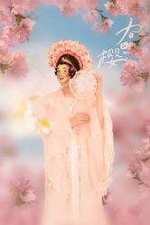 -孕视觉专业孕妇摄影(天津南开店)