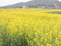 -苏州吴中太湖旅游区