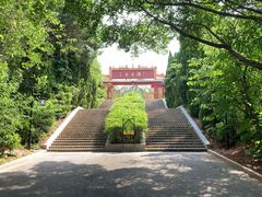 -三水森林公园