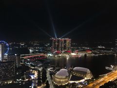 -新加坡瑞士史丹福酒店