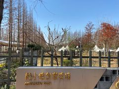 -前小桔亲子创意农场·草莓采摘·露营烧烤
