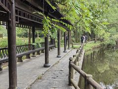 -东湖落雁景区