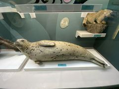 -国家自然博物馆