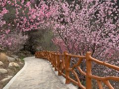 -封龙山风景区