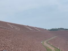 -黄河小浪底水利枢纽风景区