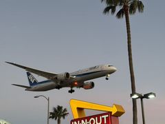 -In-N-Out Burger(LAX)