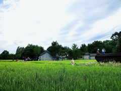 -北坞公园