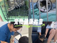 -派美特宠物医院·核磁CT·骨科肿瘤·疑难转诊(沈农禾丰店)