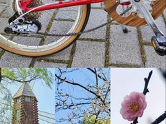 -昆山城市生态森林公园