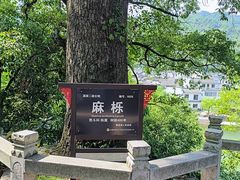 -绩溪龙川景区