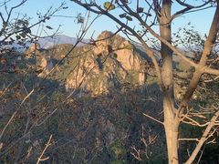 -大岭沟猕猴桃谷风景区