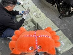 -黄记大闸蟹专卖店·活蟹·醉蟹